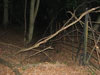 Albums/20090700-Windsor Great Park/8